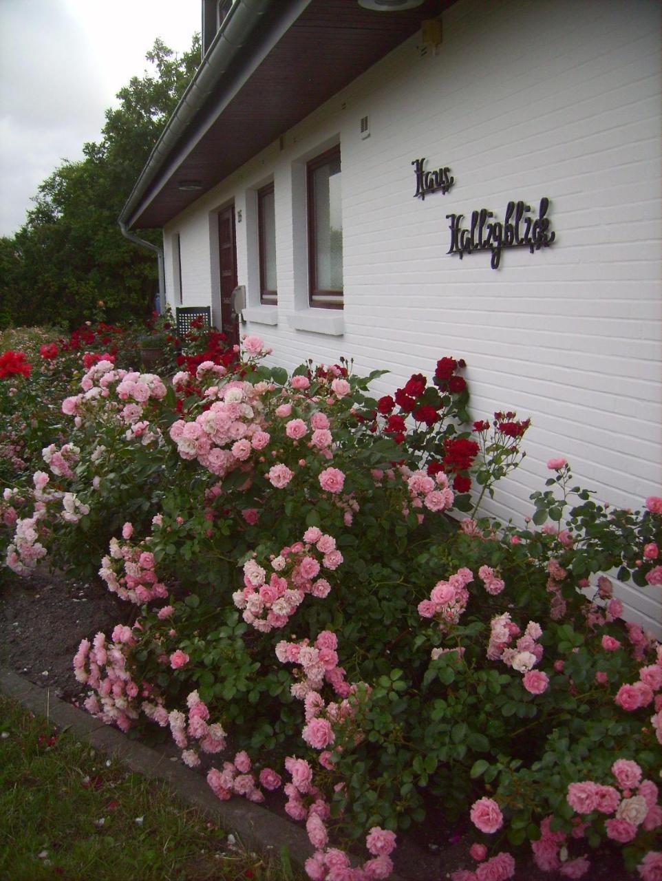 Haus-Halligblick-Ferienwohnung-Hamburger-Hallig Dagebüll Eksteriør bilde