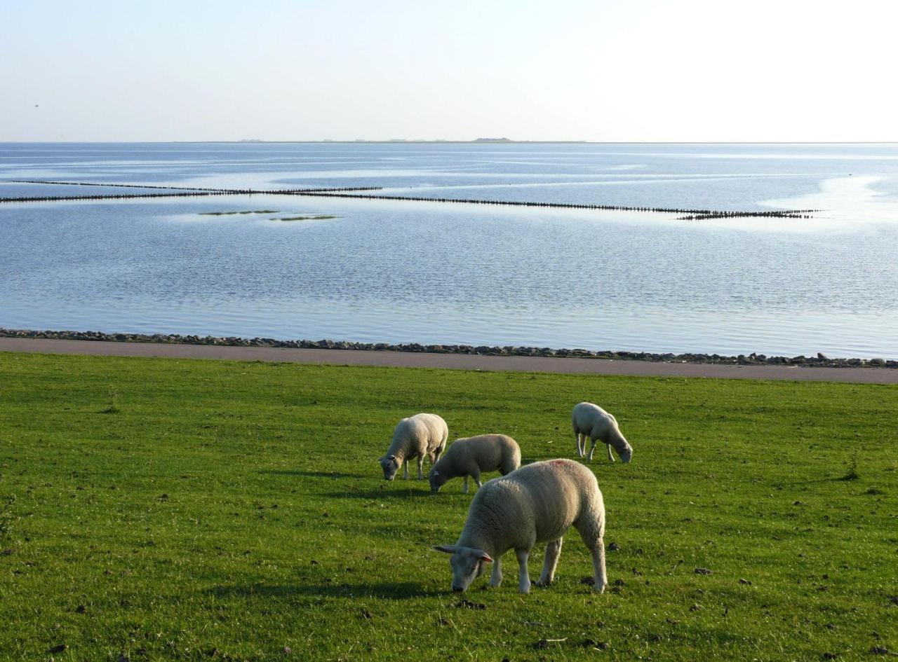Haus-Halligblick-Ferienwohnung-Hamburger-Hallig Dagebüll Eksteriør bilde